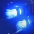 Combustion Engine